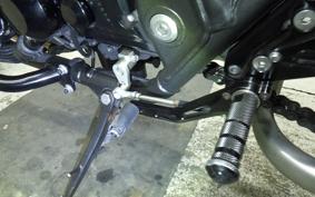 KAWASAKI ZRX1200 D 2009 ZRT20D