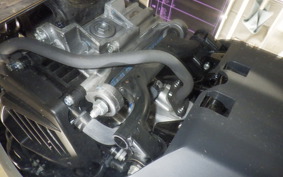 HONDA TACT Basket AF79