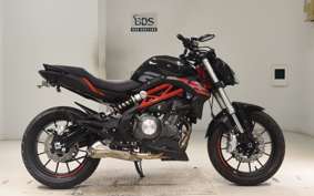 BENELLI TNT249S 2013