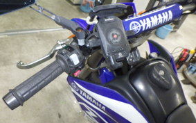 YAMAHA WR250X 2007 DG15J