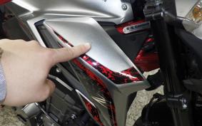 KAWASAKI Z900 2019 ZR900B