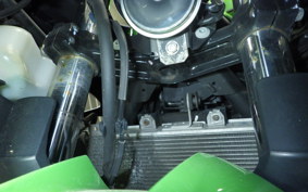 KAWASAKI NINJA 400 2020 EX400G
