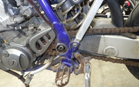 YAMAHA WR250F E CG16W