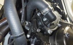 YAMAHA XSR900 2024 RN80J