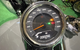 HARLEY FLFB 2025 YF9