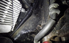 HONDA LEAD 125 2021