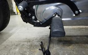 HARLEY FXBB1920 2025