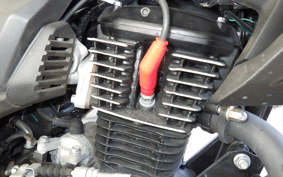 HONDA HORNET 2.0