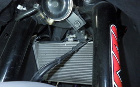YAMAHA YZF-R25 A RG43J