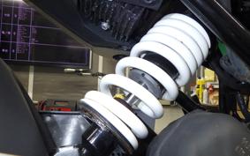 HUSQVARNA SVARTPILEN 250 2021