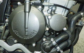 KAWASAKI KLX250D TRACKER 2015 LX250E