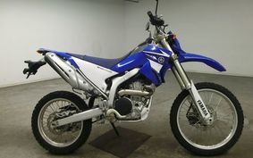 YAMAHA WR250R DG15J