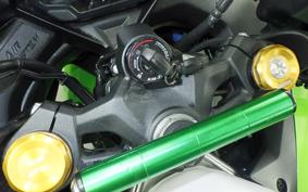KAWASAKI ZX-4RR 2024 ZX400P