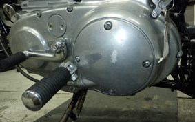 OTHER UNREGISTERED MODEL by BDS1200 2025