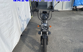 OTHER MINI BIKE