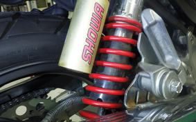 KAWASAKI BALIUS 250 Gen.2 2022 ZR250B