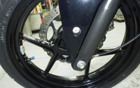 KAWASAKI NINJA 250R EX250K