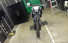 YAMAHA WR250X 2023 DG15J