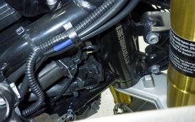 BMW G310GS 2021