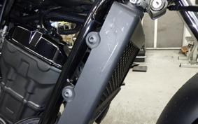 HONDA REBEL 250 2023 MC49