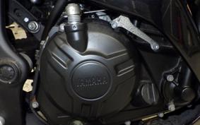 YAMAHA YZF-R25 2024 RG43J