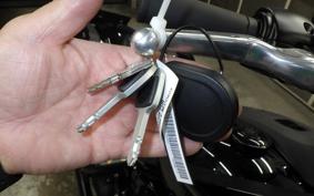 HARLEY FXLRST1920 2023
