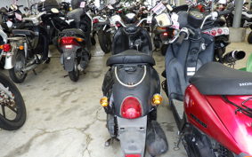 YAMAHA VINO 50 SA26J