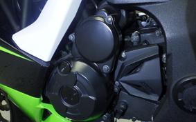 KAWASAKI NINJA 250 SL 2010 BX250A