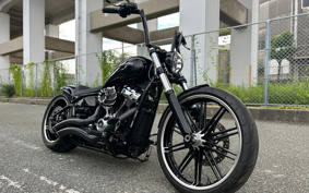 HARLEY FXBRS 2019 YHK