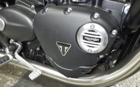 TRIUMPH BONNEVILLE T100 2023