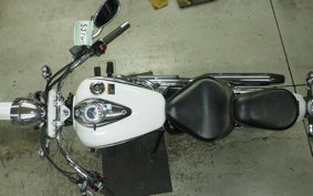 YAMAHA DRAGSTAR 250 2022 VG05J