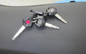 YAMAHA TENERE 700 2025 DM17J