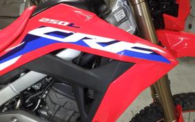HONDA CRF250L 2021 MD47