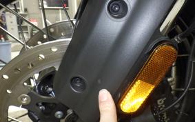 HARLEY PAN AMERICA 1250 S 2021