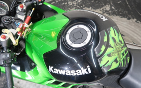 KAWASAKI NINJA ZX 14 R 2013 ZXT40E