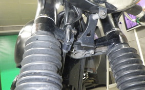 KAWASAKI W800 STREET 2019 EJ800B