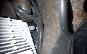 HONDA LEAD 125