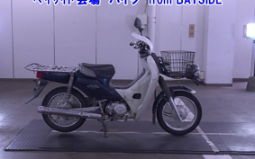 OTHER C110PU LOW 2
