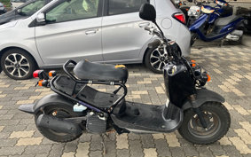 HONDA ZUMAR AF58