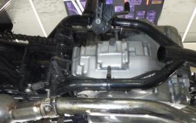 KAWASAKI ESTRELLA 2025 BJ250A