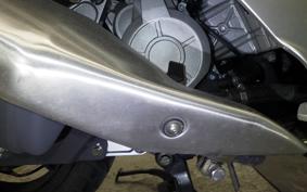 OTHER +UNREGISTERED MODEL by BDS TRIKE190