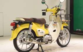 HONDA C110 SUPER CUB 2007 JA59