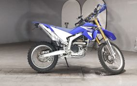 YAMAHA WR250R DG15J