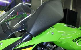 KAWASAKI NINJA ZX-6R A 2026 ZX636J