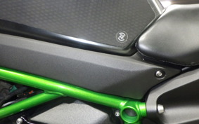 KAWASAKI NINJA H2 CARBON 2021 ZXT02J