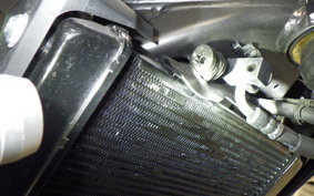 HONDA CB250RA 2000 MC52