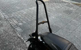 HARLEY XL1200X 2021 LC3