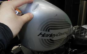 HARLEY XL1200NS 2020