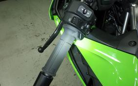 KAWASAKI ZX-4RR 2024 ZX400P