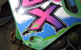 KAWASAKI KDX250SR DX250F